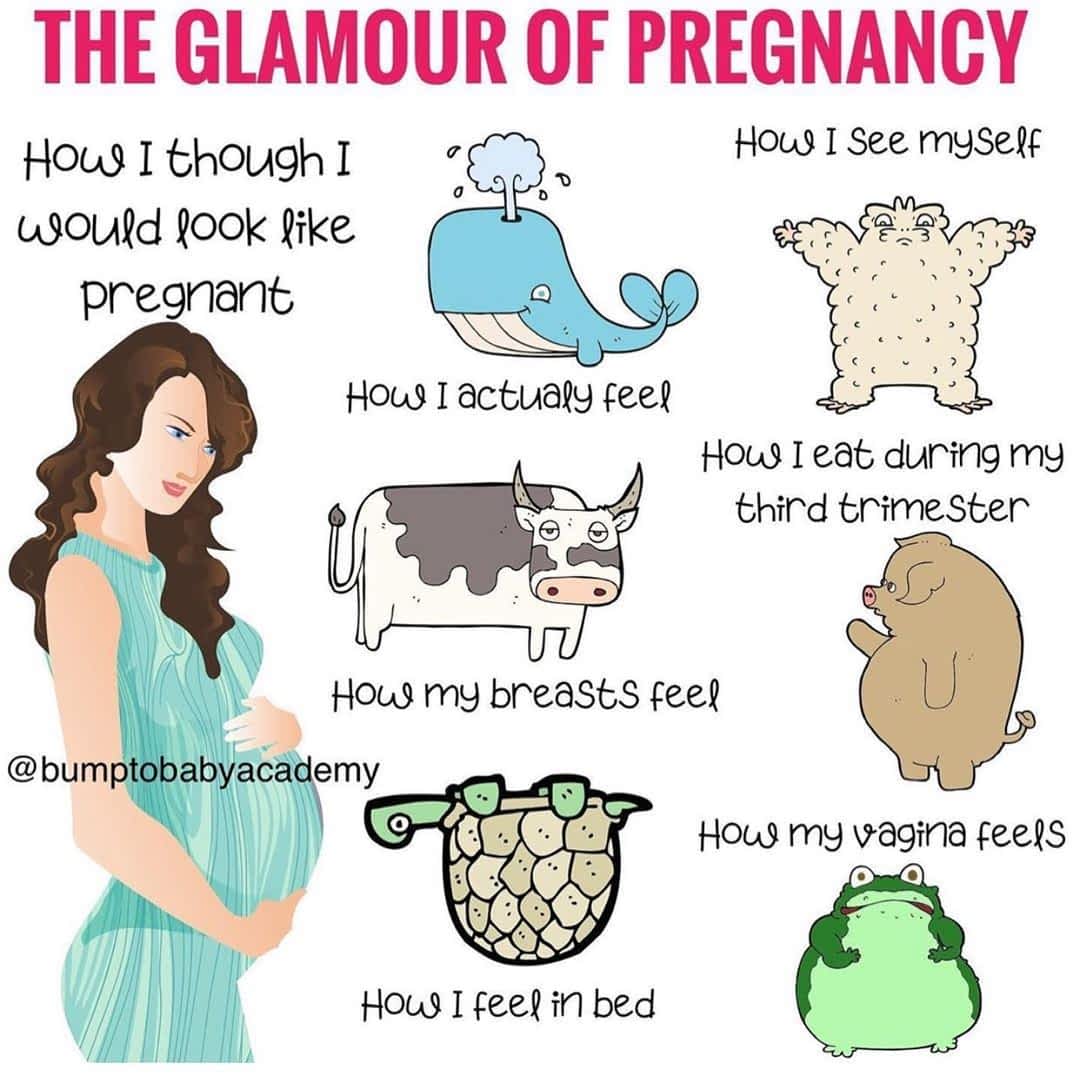The Glamour Of Pregnancy - Infographic - 2021 The Glamour Of Pregnancy - Infographic - 2021