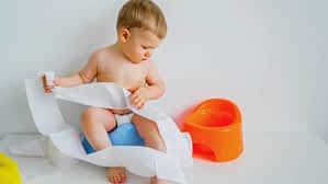 Toilet Training Your Toddler - Potty &Amp; Toilet Training - 2021 Age To Start Toddler Toilet Training