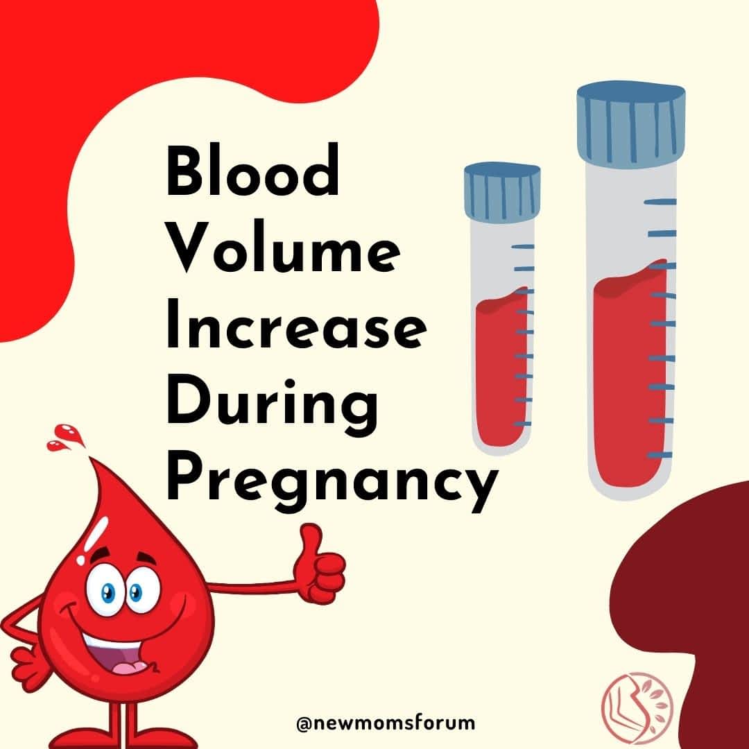 blood-volume-increase-during-pregnancy-new-moms-forum