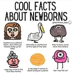 Such Cool Facts About Newborns Did You Know These ? ... - Pregnancy - 2021 Such Cool Facts About Newborns Did You Know These ? ...