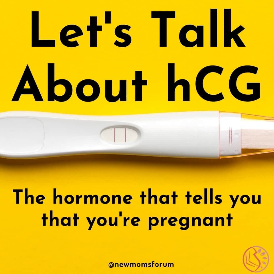 Lets Talk About Hcg - Pregnancy - 2021 Human Chorionic Gonadotropin More Commonly Known As Hcg