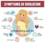 Ovulation symptoms
.
By:
.
Ovulation symptoms aren't difficult to notice. Once you know what to look for, you'll be surprised how easy it can be. J...