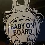 Anyone else get a fun "Baby on Board" sticker? Love my Totoro one from Etsy!