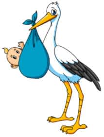 Midwife Qualifications - Includes Dem, Cpm, Cm, Cnm, Lays And Doulas Midwife Qualifications - Includes Dem, Cpm, Cm, Cnm, Lays And Doulas