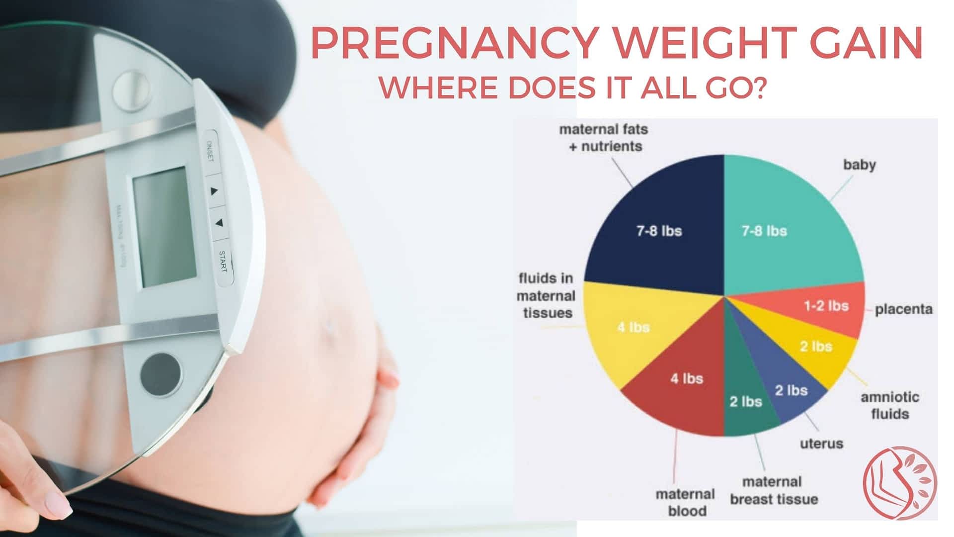 pregnancy-weight-gain-where-does-the-weight-go-new-moms-forum