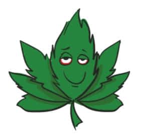 Marijuana And Cbd Use While Breastfeeding - Breastfeeding - 2021 Marijuana Use When Breastfeeding
